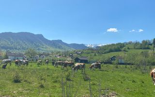 Teren Bran/ Predelut 10.663 mp. - Poză 2