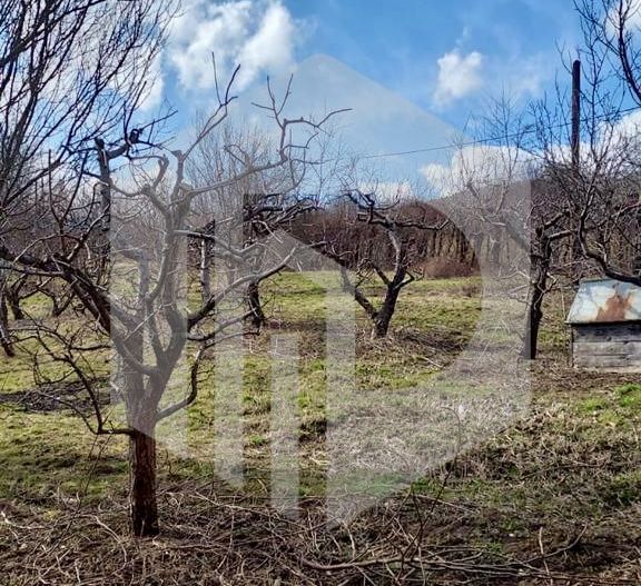 Teren cu livada+ casa de vanzare in Talmacel- 4000 mp - Poză 6