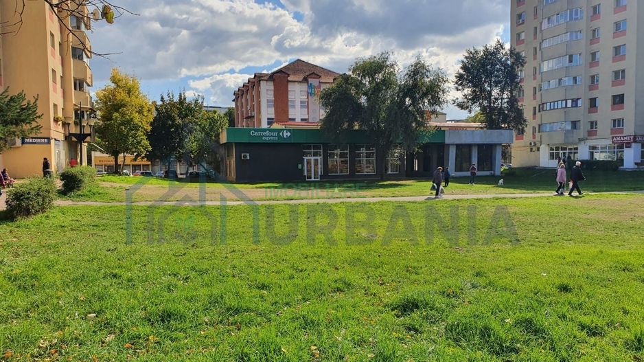 Spatiu comercial Nicolina - Poză 1