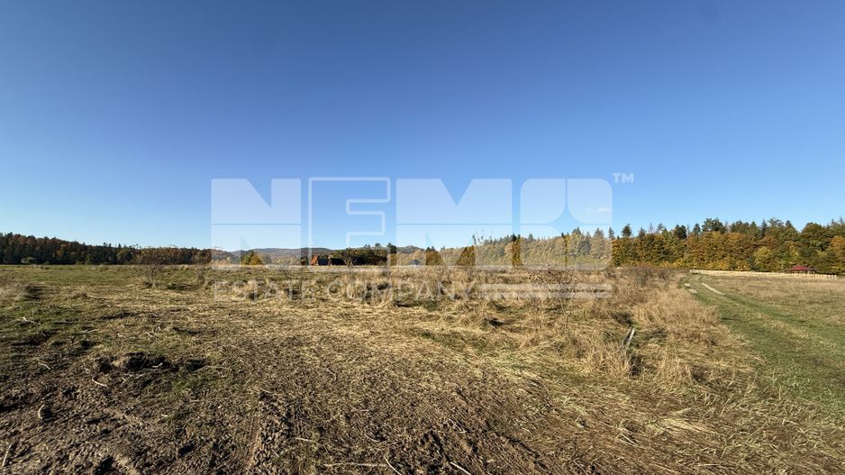 Teren intravilan | Horodnic de Sus – zona Tecioara | 2.900 mp - Poză 1