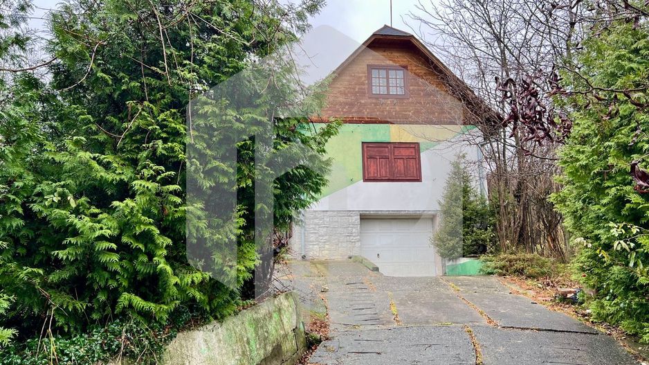 Casa de vanzare  in Talmacel-Teren 4000 mp cu livada+garaj - Poză 3