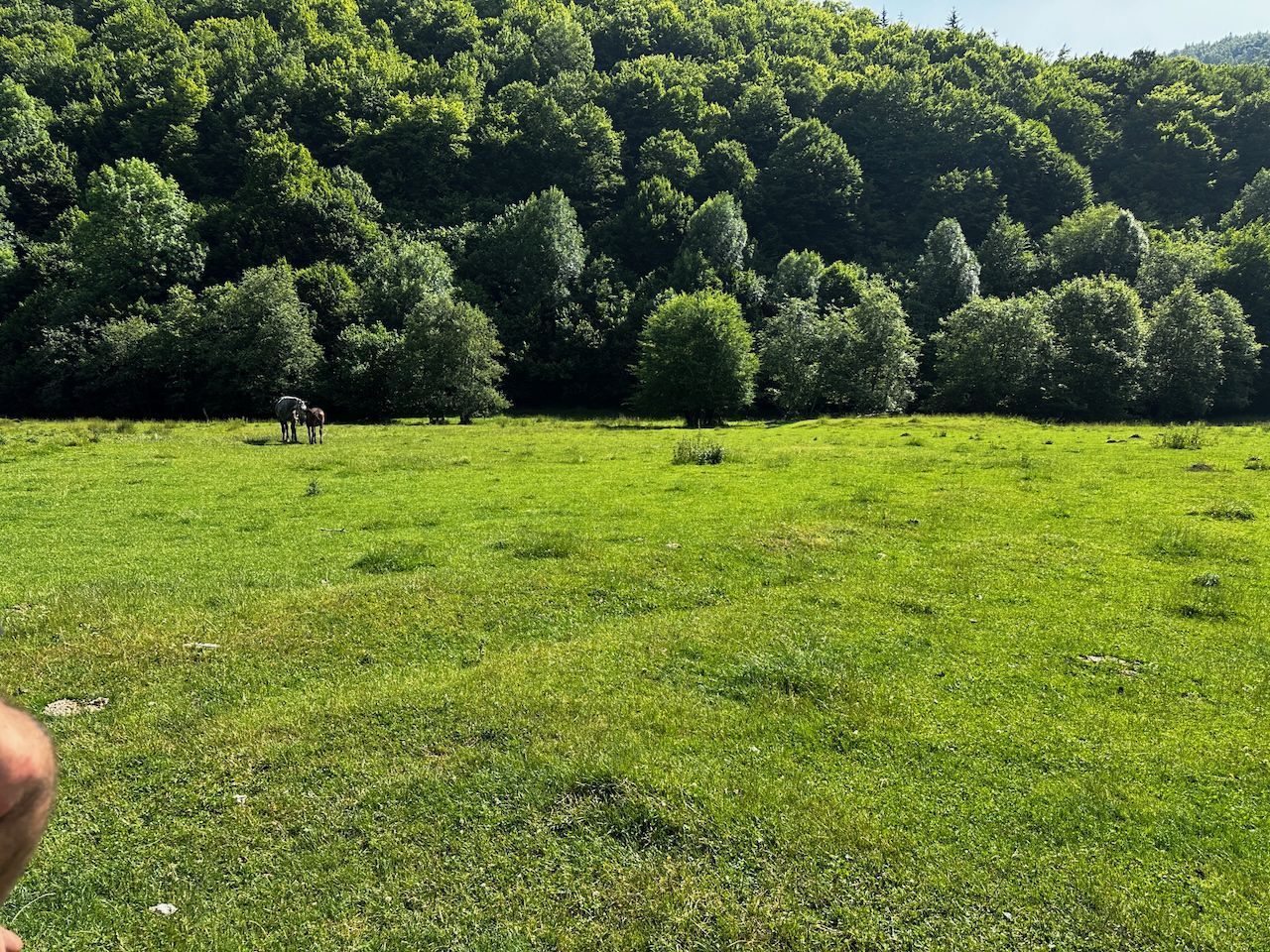 2 Loturi a 2124+2744mp Barsa Fierului / Plaiul Foii - Poză 10