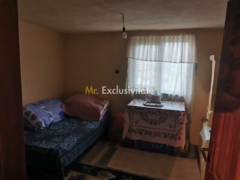 De vanzare casa in Argetoaia cu teren 7.000 mp - Poză 9