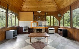 Vedere directa la Padure, 5000mp teren, Vila D+P+1E+M, semineu, foisor - Poză 40