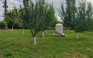 Imobil rezidential nou, Cretesti, Vaslui, teren 4800 mp - Poză 13