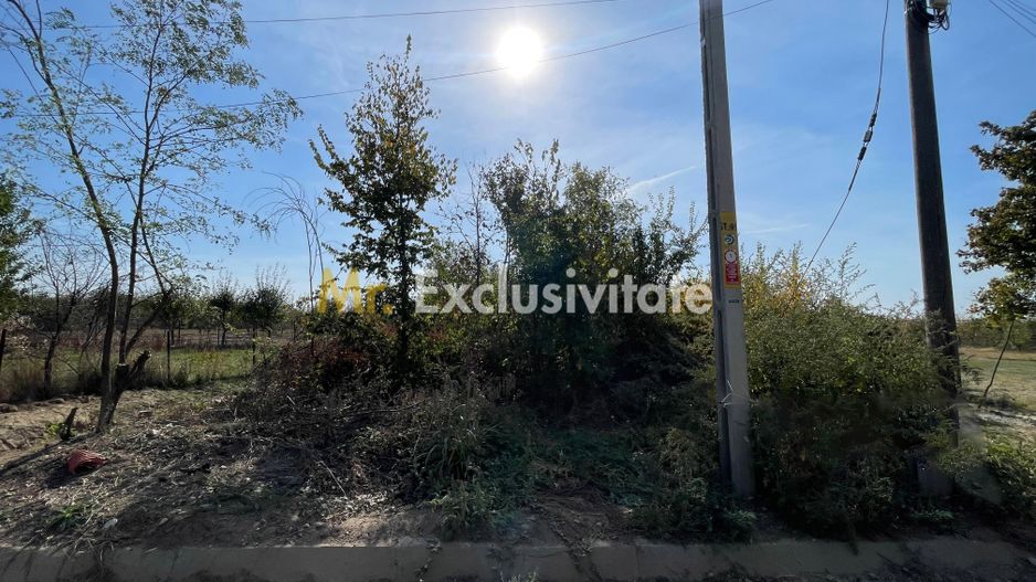 Teren intravilan 2773mp Costesti, AG - Poză 4
