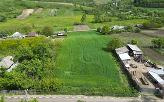 Teren de vânzare, Sat Valea Mare, Com. Roșiori, Bacău - Poză 4