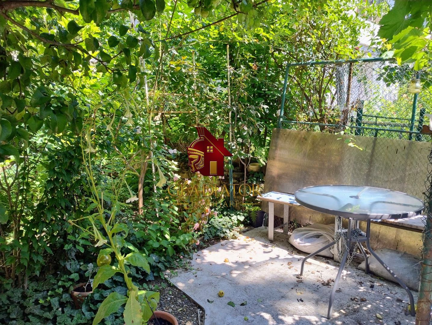 Copou - Lascar Catargi - aproape de IRO si Spitalul Spiridon, Oscar - Poză 4