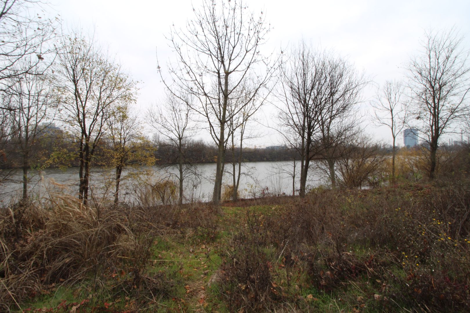 Teren 6000 mp pozitie deosebita lacul Baneasa adancime 140 m - Poză 15