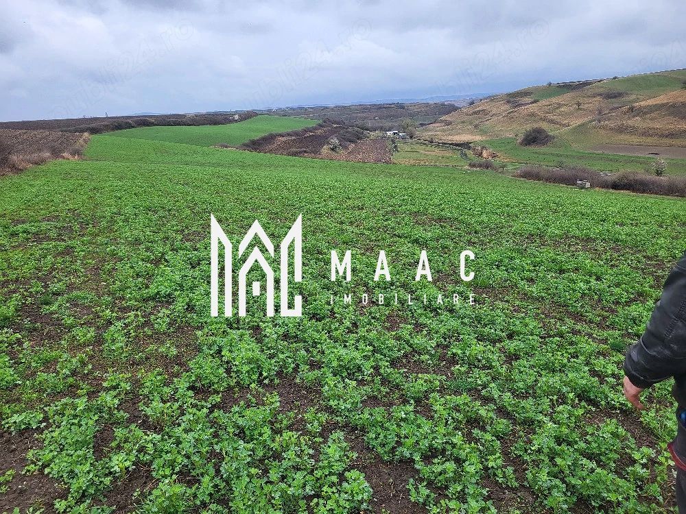 Teren 20500mp I Deschidere 100ml I Compact I Ocna Sibiului - Poză 1