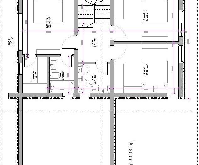 Casa P+1 strada Dara - Poză 3