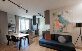 Chirie, apartament, 2 camere, str. Moara Roșie, Centru - Poză 3