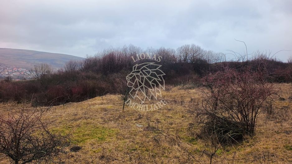 Teren 10000mp intravilan Chinteni 14 case aprobate  Investiție dezvoltator - Poză 3