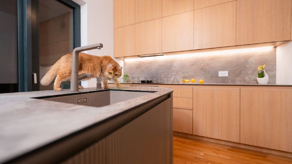 Vila 6 camere / Townhouse Avalon Estate - Poză 20