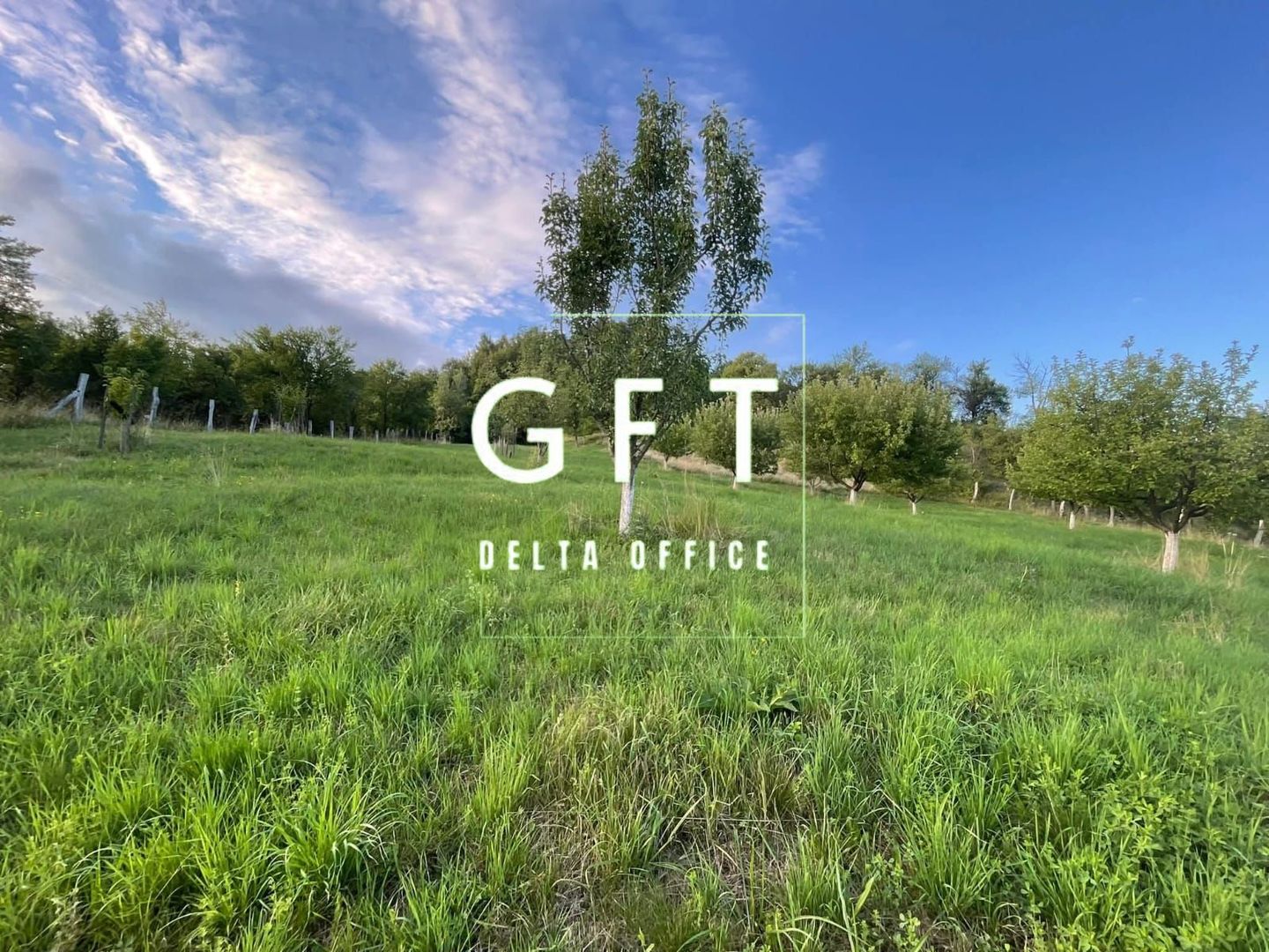 PARCELE TEREN INTRAVILAN 5-29.2 ARI - DOROLEA - Poză 8