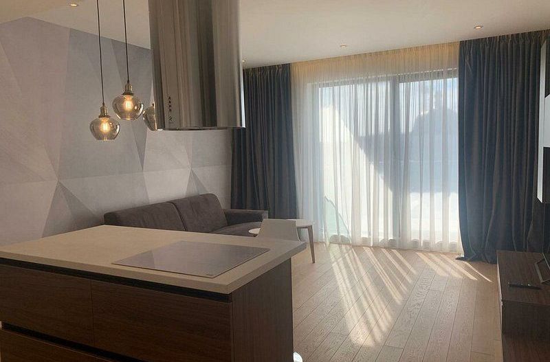 Inchiriere apartament 2 camere One Herastrau Plaza - Poză 7