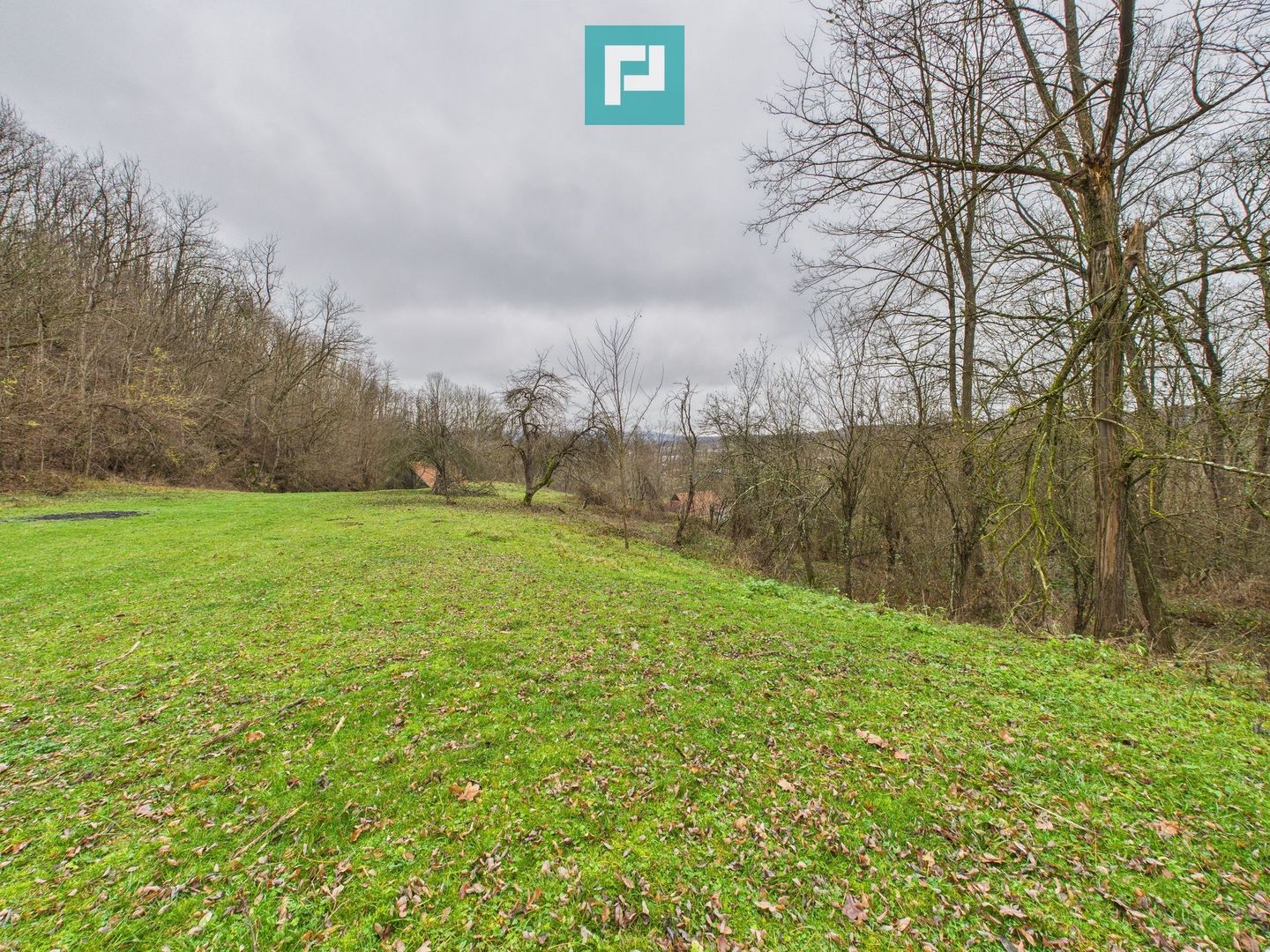 Casă cu teren de 24.679,73 mp, în Hălmagiu, Arad - Poză 20