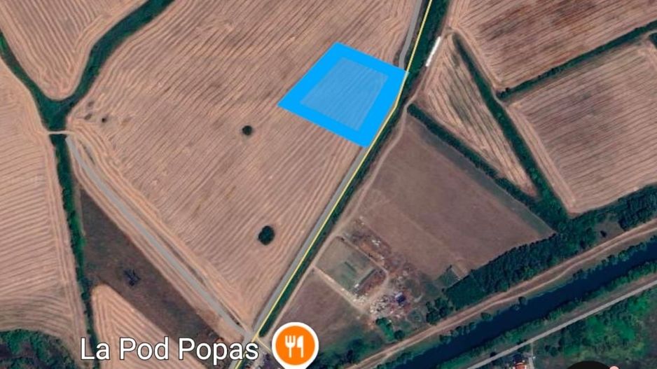 Comision 0% Oportunitate investiție – Terenuri extravilane în Utvin și Sanmihai - Poză 4