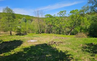 Teren intravilan | langa padure si parau | Luncani/Bacau - Poză 5