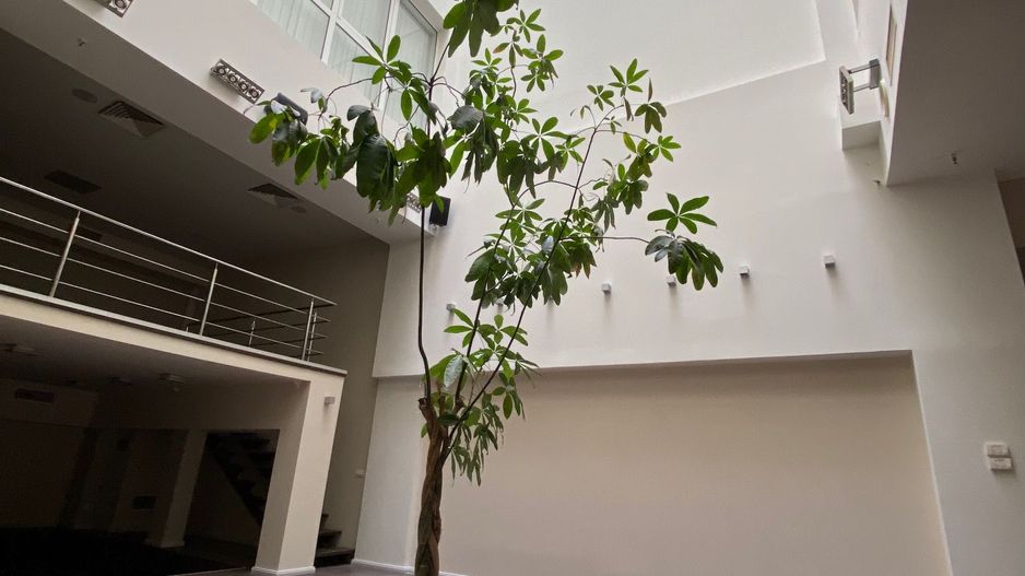 Spațiu de birouri de 300mp de închiriat în zona Centrala - Poză 13