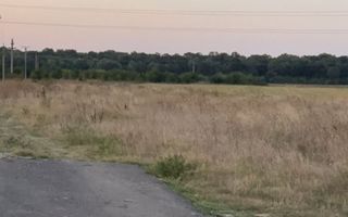 Teren intravilan Peris - Poză 1