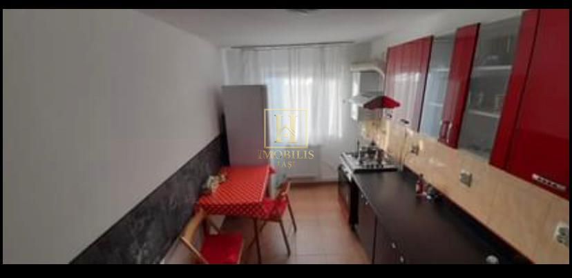 Apartament 1 camera Dec + mansarda 50 mp Nicolina Lidl 380 euro - Poză 3