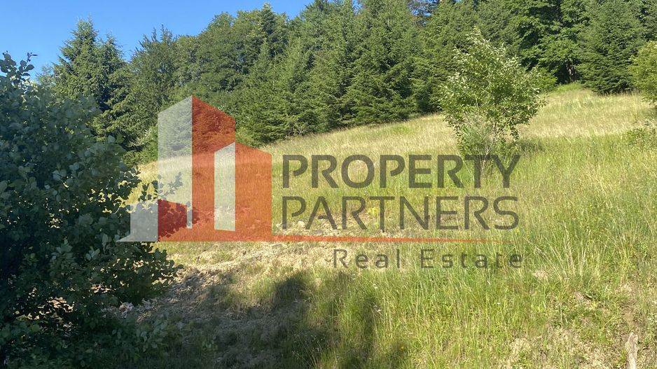 Teren 14400 mp la iesire din Rasnov inspre Pârâul Rece-Trei Brazi - Poză 6