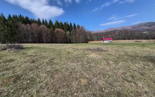 Teren intravilan la baza pădurii Valea Doftanei sat Traisteni (poduri) - Poză 10