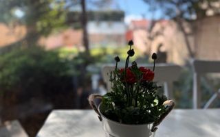 Braytim | 4 camere | 140 mp | Teren 337 mp | Garaj | Panouri FV - Poză 3