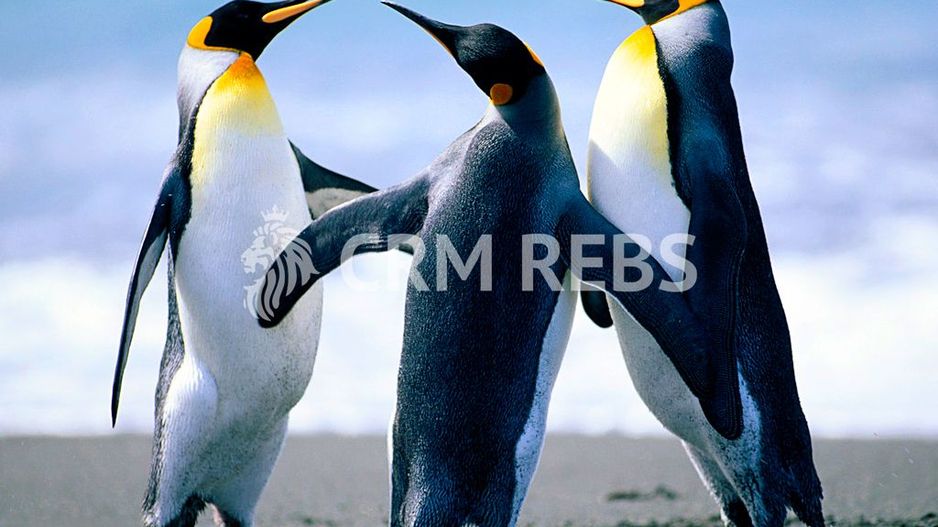 Apartament frumos de 74 mp - Poză 2