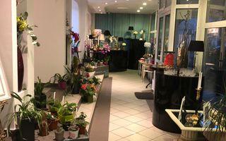 Ultracentral Focsani, Spatiu Comercial, Oportunitate - Poză 5