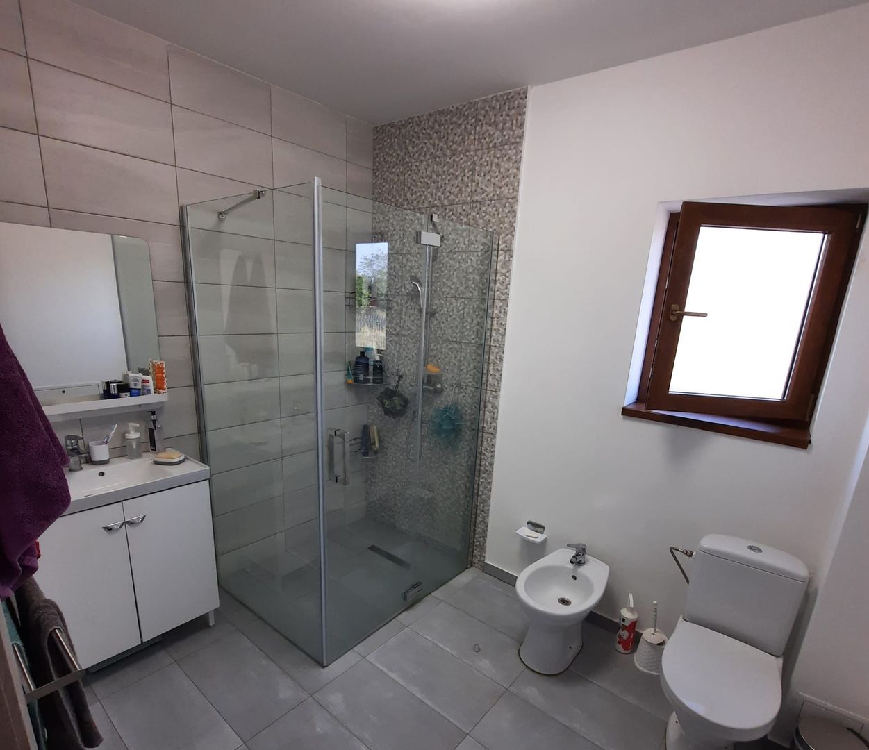 Casa Adunatii Copaceni - Poză 6