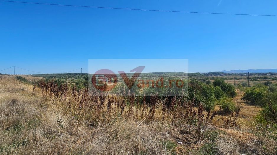Teren intravilan 14.168 mp – pozitie excelenta la intrarea in Braila - Poză 7