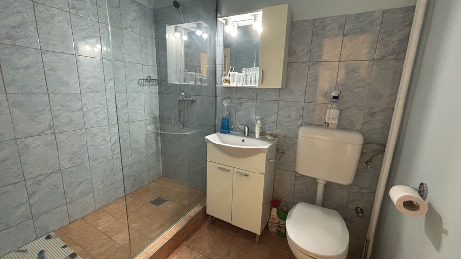 Apartament 1 camera la 10 minute de Iulius Mall - Poză 12
