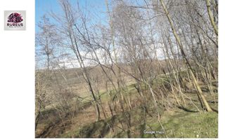 Oportunitate rară! 1 ha pădure Corcova – teren cu potențial real - Poză 2