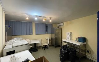 Spatiu bussines de 490mp intr-o vila pe 4 niveluri - Timisoara - Poză 6