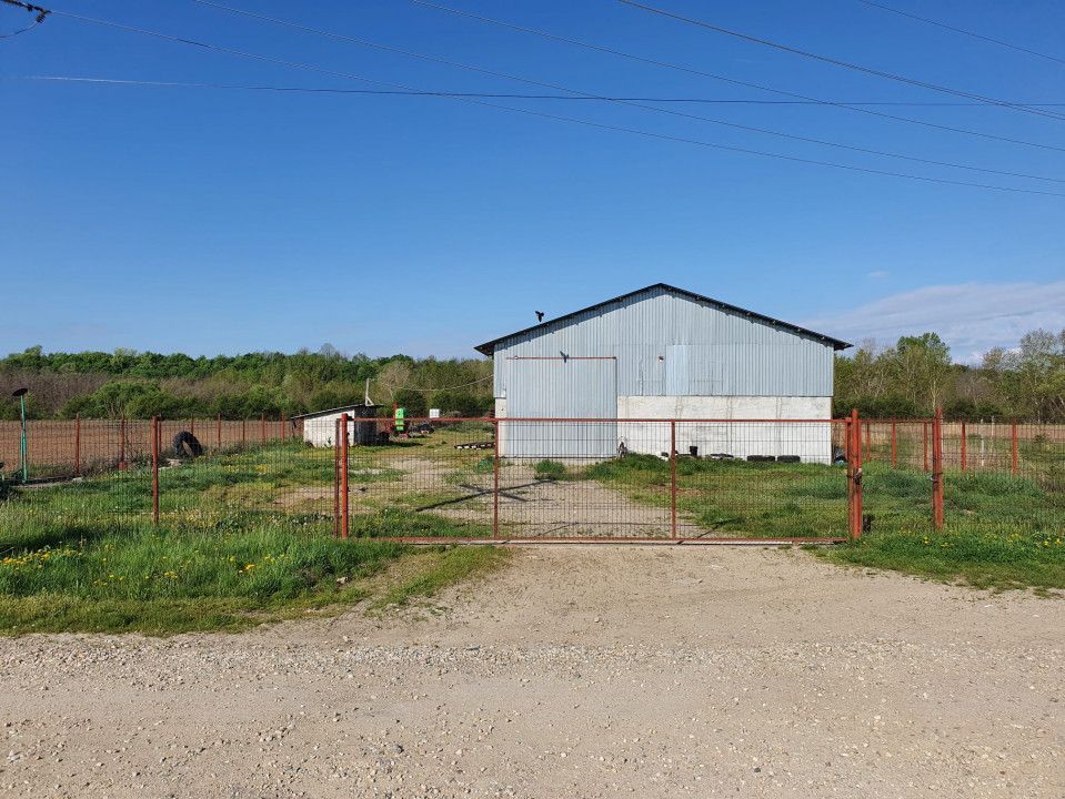 Hala de vanzare Costesti - Poză 6