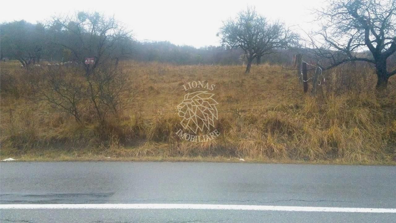 Teren 1300 mp limita cu intravilanul-ideal investitie/cabana-Unirea - Poză 3