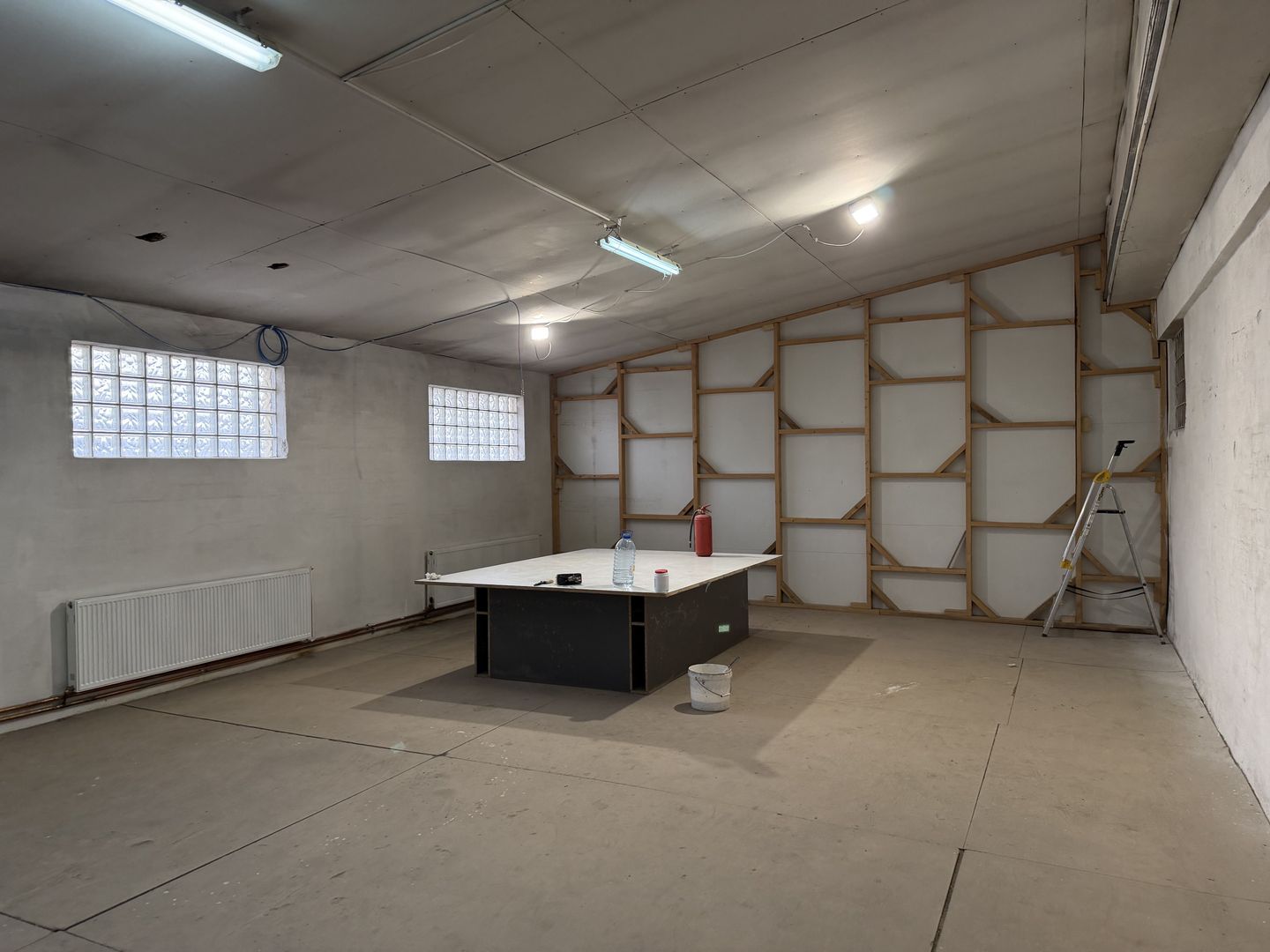 Hală industrială cu poziționare strategică în Giarmata - Poză 10