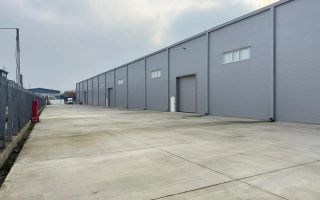 Hala de închiriat – Acces direct Centura București - Poză 2