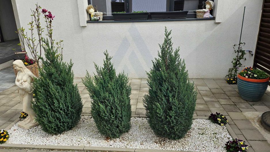 Casa moderna 4 camere 2 bai teren 500 mp terasa si pod in Selimbar - Poză 10