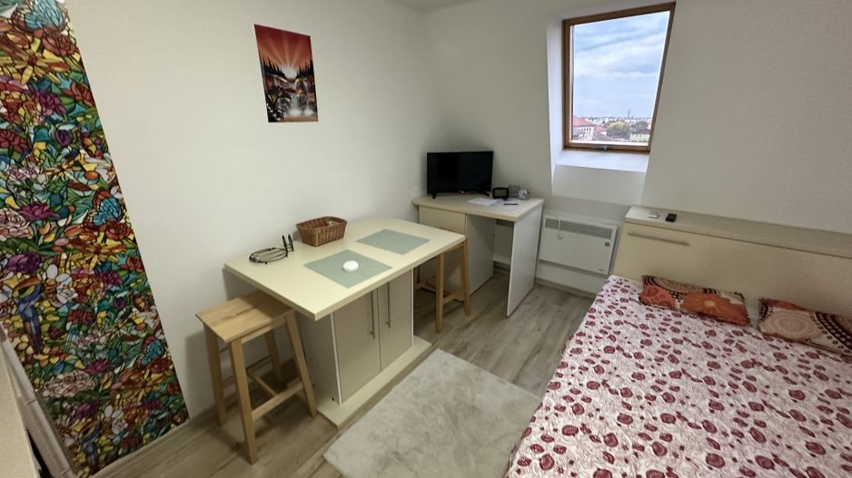 Apartament 1 camera la Mansarda - Poză 8