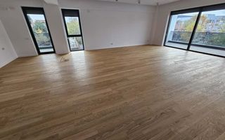 Penthouse 7 Camere | 253 MP Utili | Iancu Nicolae - langa Padure - Poză 8