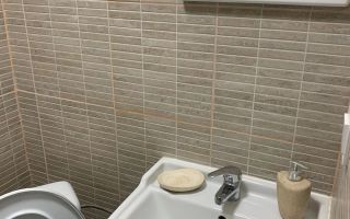 Garsoniera zona Buziasului - Poză 6