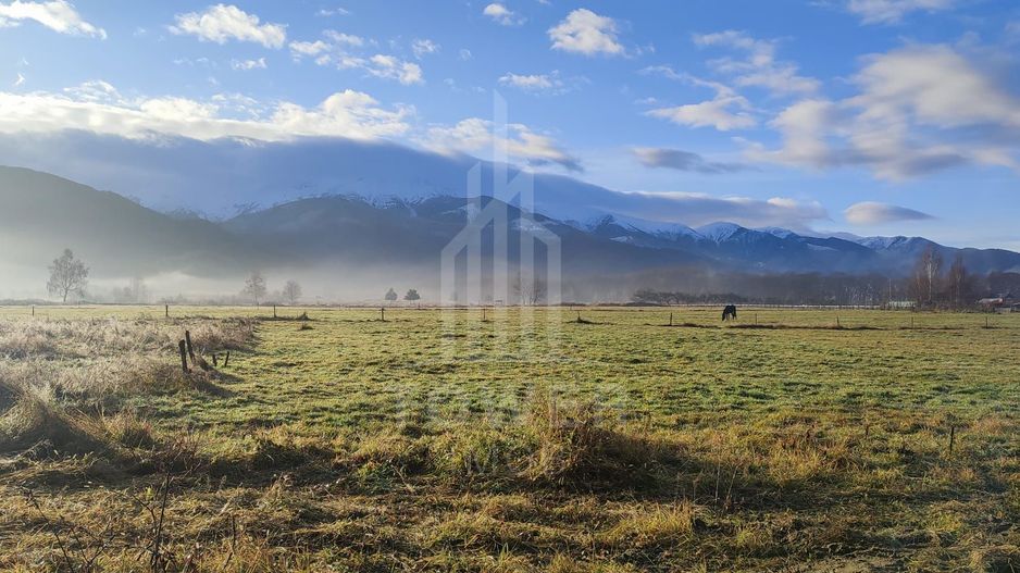 Teren intravilan de vânzare | Valea Avrigului-Porumbacu de Jos - Poză 3