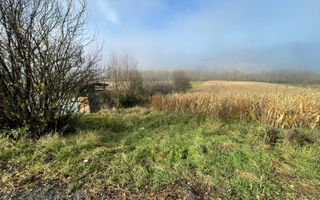 Teren 2.500 mp I Gușterița I PUZ I Aprobat I Ideal Dezvoltare - Poză 2