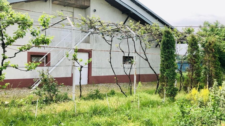 Vila Vulpesti Buzoesti - Poză 38