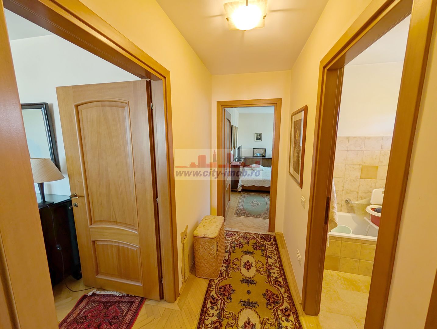 Vanzare Apartament Parcul Circului Stefan Ce Mare - Poză 8