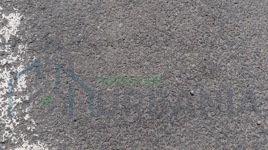 Teren 10.000 mp în Tomesti, zona Vladiceni – oportunitate de investiție - Poză 4