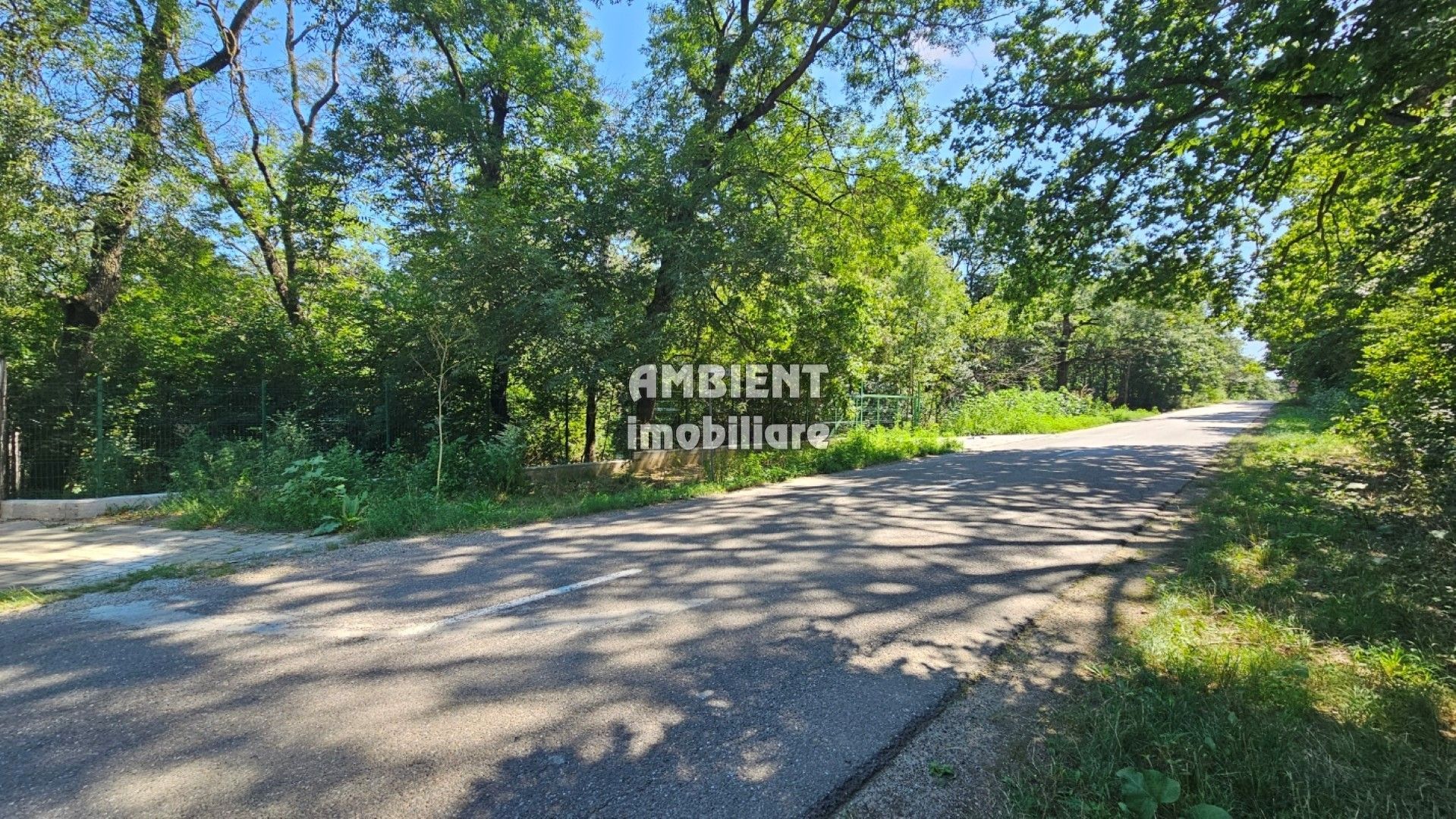 INVESTIȚIE!! Teren intravilan 5.000 mp, zona BĂLTENI - Padure; - Poză 3